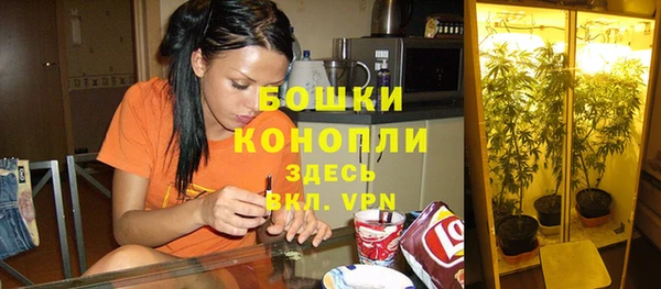 индика Алексеевка