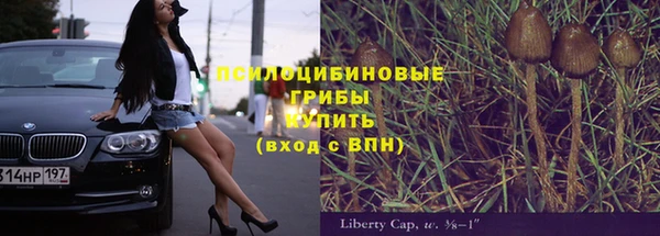 индика Алексеевка
