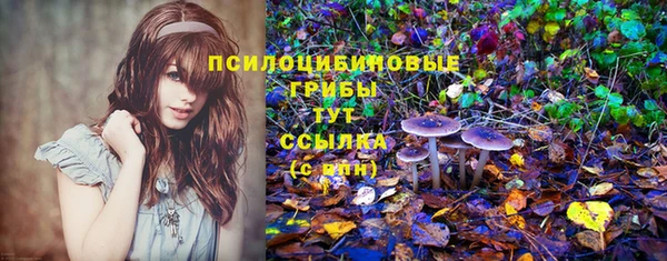 apvp Абдулино