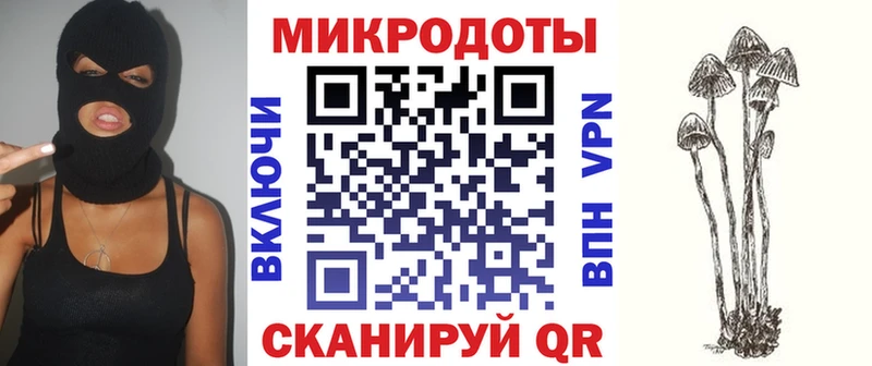 kraken зеркало  Кулебаки  Галлюциногенные грибы Psilocybe  как найти  